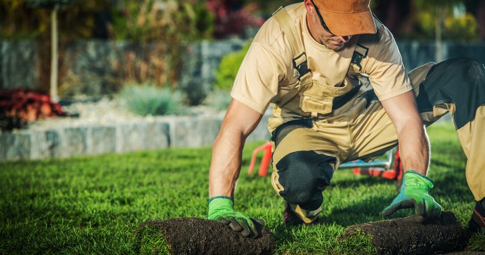 lawn care in orlando florida, one of our professional landscapers looking after a lawn.