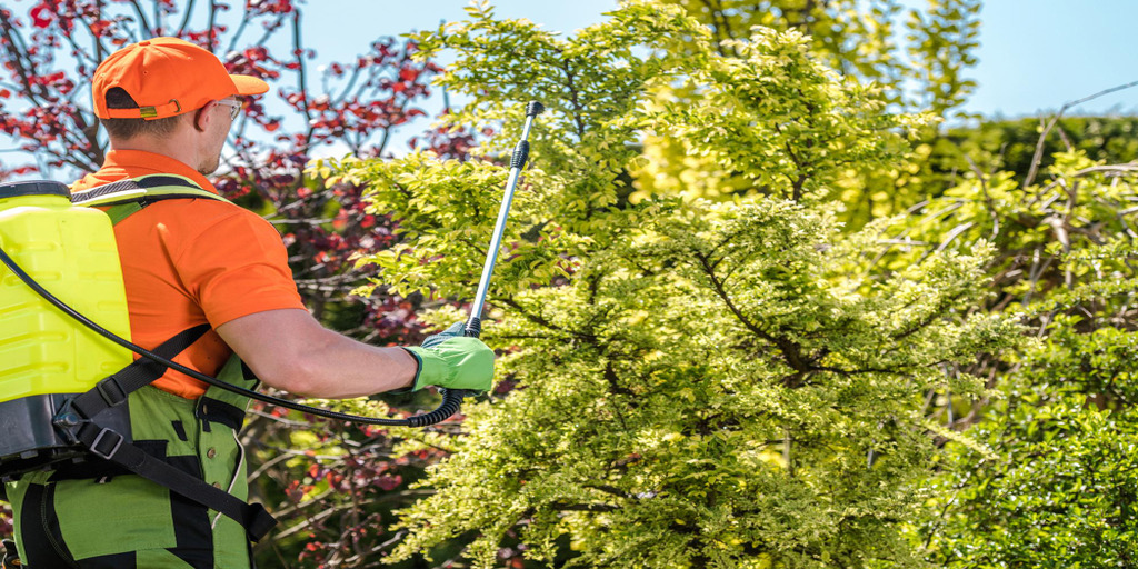 Our tree services in Orlando FL make sure your trees are healthy and safe.