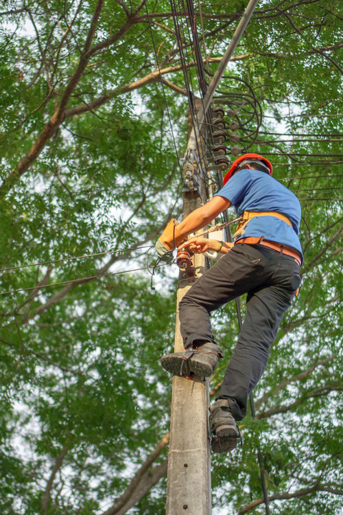 Our tree services Orlando will keep you safe and your trees looking great.